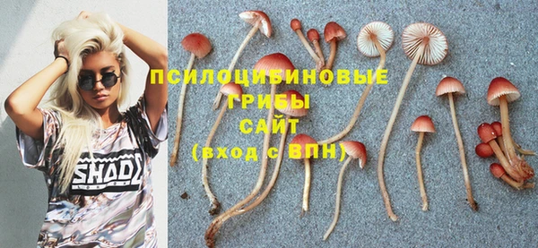 2c-b Медвежьегорск
