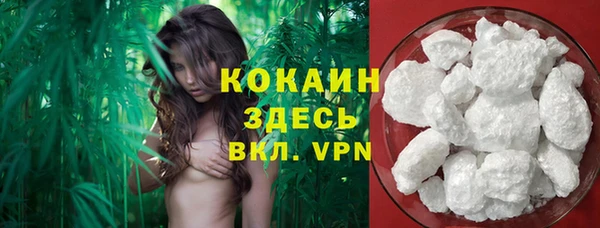 спайс Мегион